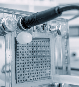 Fuel cells and electrolyzers